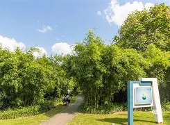 九博体育官网入口-K欣倞膛?莘态贴(马可欣真的暗lai)